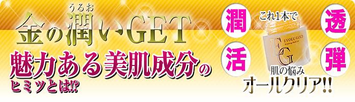 �G�{�����[�S�[���h