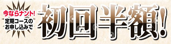 �G�{�����[�S�[���h
