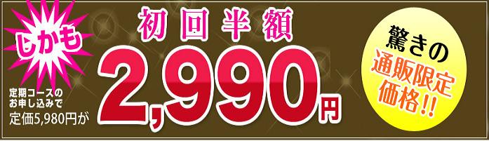 �G�{�����[�S�[���h